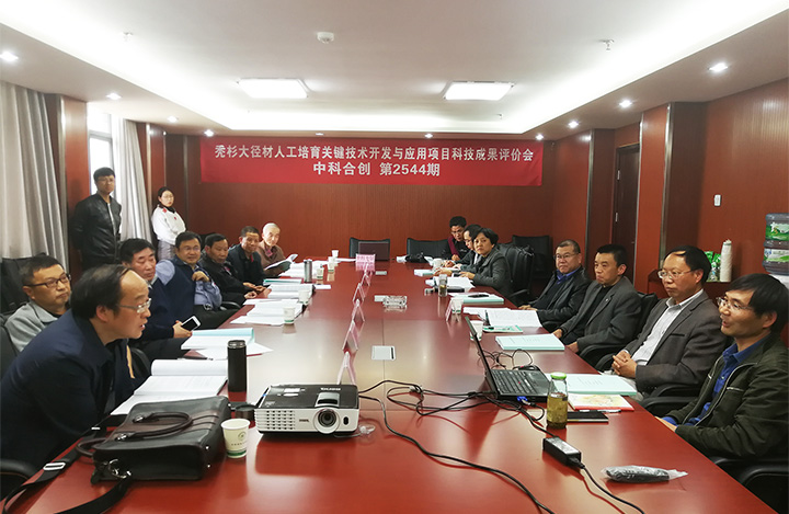 秃杉大径材人工培育关键技术开发与应用 anli.jpg